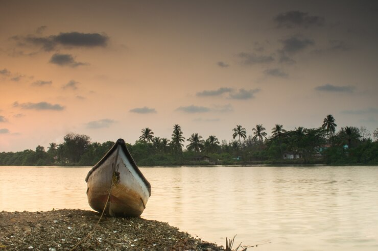 Know Top 11 Mind-blowing Facts About Kerala!